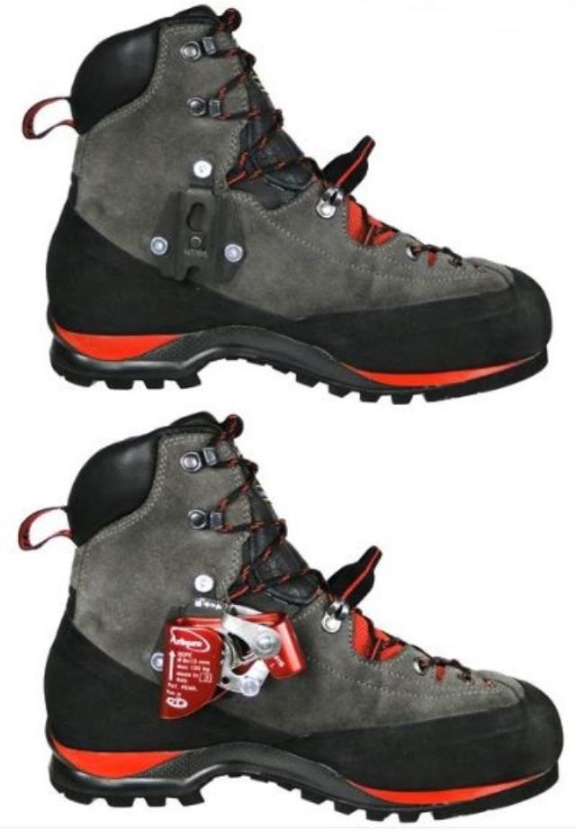 CERVINO WOOD QUICKSTEP