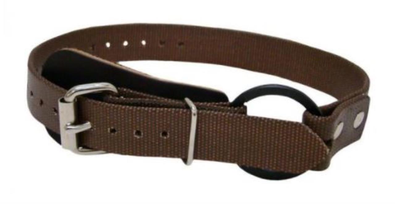 NYLON LOWER FOOT STRAP for BUCKINGHAM