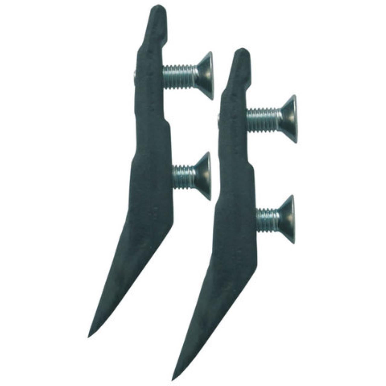 AMERICAN SHORT FOR GECKO