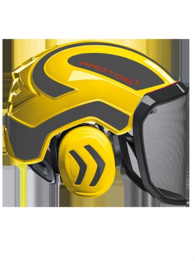 PROTOS INTEGRAL FOREST