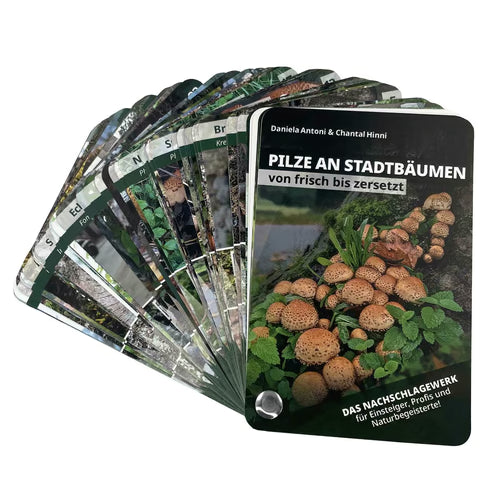 FUNGI CARDS SVAMP PÅ TRÆER.